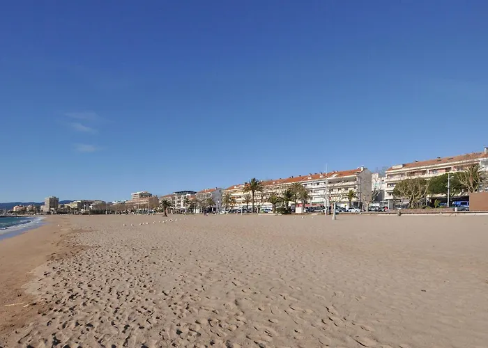 Amazing In With Wifi Fréjus